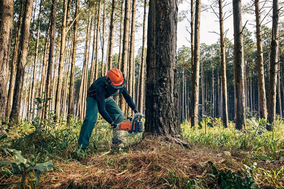 STIHL